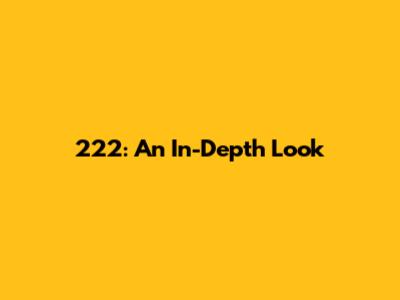 222: An In-Depth Look