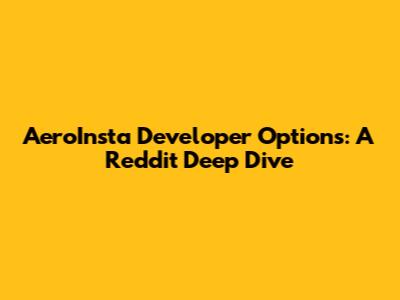 AeroInsta Developer Options: A Reddit Deep Dive