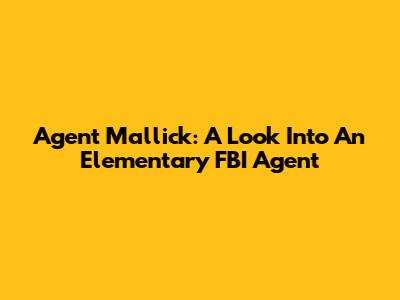 Agent Mallick: A Look Into An Elementary FBI Agent