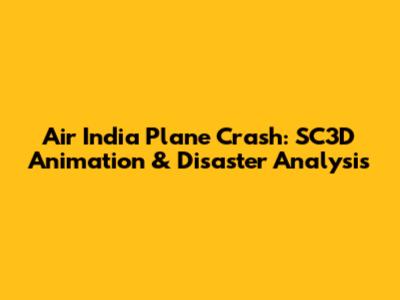Air India Plane Crash: SC3D Animation & Disaster Analysis