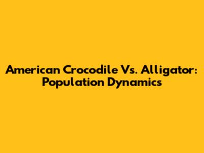 American Crocodile Vs. Alligator: Population Dynamics