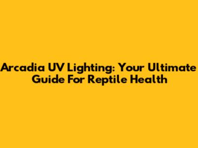 Arcadia UV Lighting: Your Ultimate Guide For Reptile Health