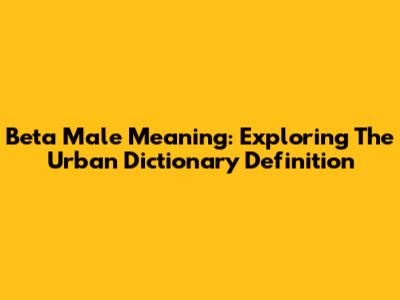 Beta Male Meaning: Exploring The Urban Dictionary Definition