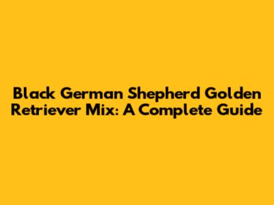 Black German Shepherd Golden Retriever Mix: A Complete Guide