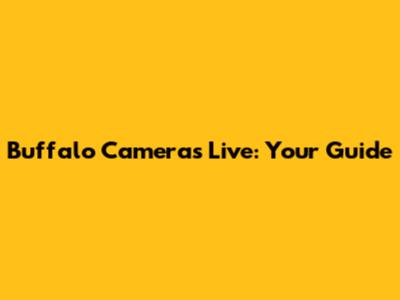 Buffalo Cameras Live: Your Guide