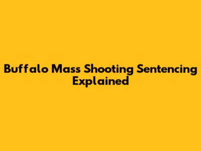 Buffalo Mass Shooting Sentencing Explained
