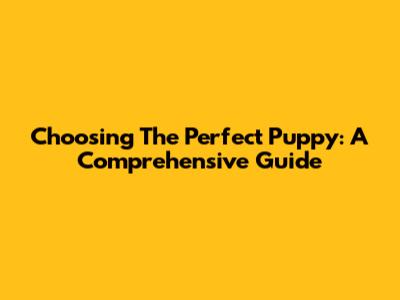 Choosing The Perfect Puppy: A Comprehensive Guide