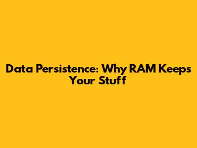 Data Persistence: Why RAM Keeps Your Stuff