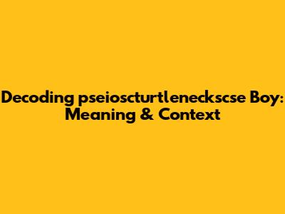 Decoding 'pseioscturtleneckscse Boy': Meaning & Context