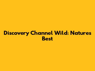 Discovery Channel Wild: Nature's Best
