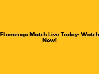 Flamengo Match Live Today: Watch Now!