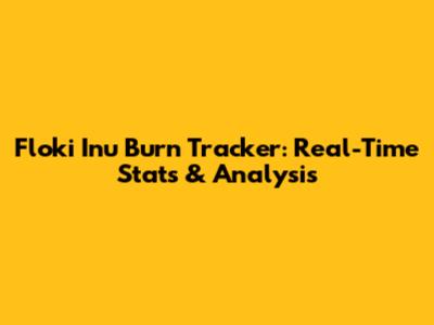 Floki Inu Burn Tracker: Real-Time Stats & Analysis