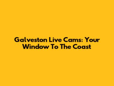 Galveston Live Cams: Your Window To The Coast