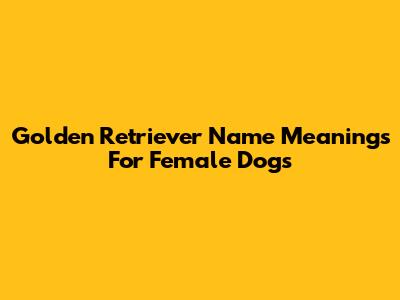 Golden Retriever Name Meanings For Female Dogs