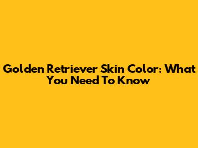 Golden Retriever Skin Color: What You Need To Know