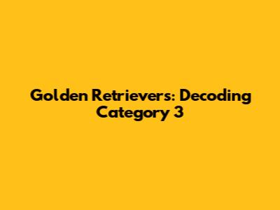 Golden Retrievers: Decoding Category 3