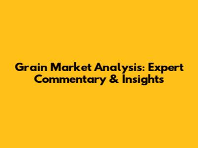 Grain Market Analysis: Expert Commentary & Insights