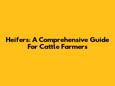 Heifers: A Comprehensive Guide For Cattle Farmers