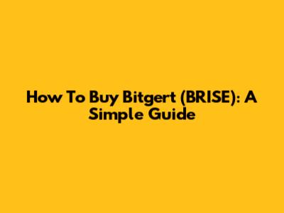 How To Buy Bitgert (BRISE): A Simple Guide