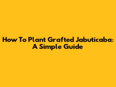 How To Plant Grafted Jabuticaba: A Simple Guide