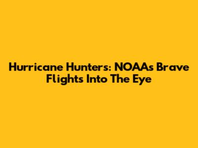 Hurricane Hunters: NOAA's Brave Flights Into The Eye