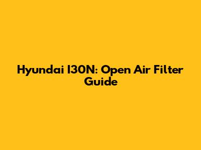 Hyundai I30N: Open Air Filter Guide
