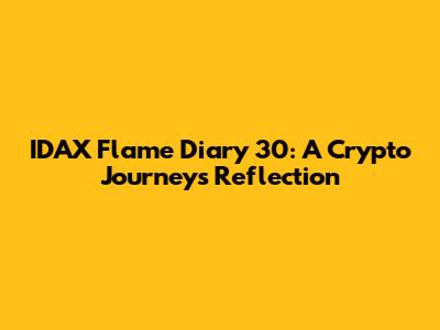 IDAX Flame Diary 30: A Crypto Journey's Reflection