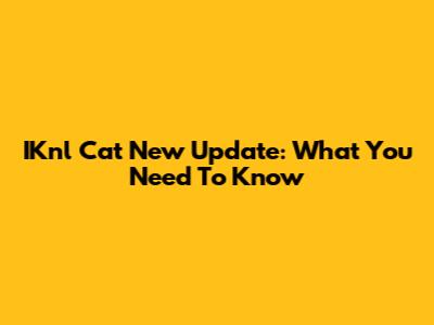 IKnl Cat New Update: What You Need To Know