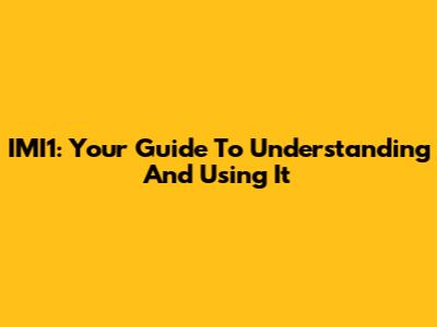 IMI1: Your Guide To Understanding And Using It