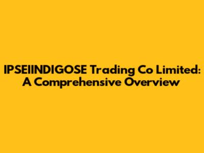 IPSEIINDIGOSE Trading Co Limited: A Comprehensive Overview