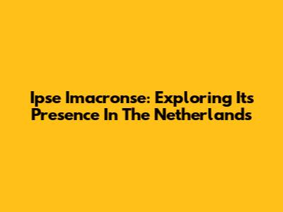 Ipse Imacronse: Exploring Its Presence In The Netherlands