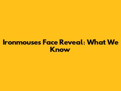 Ironmouse's Face Reveal: What We Know