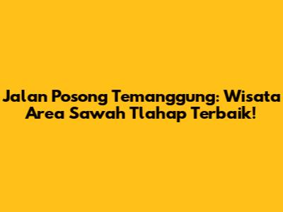 Jalan Posong Temanggung: Wisata Area Sawah Tlahap Terbaik!