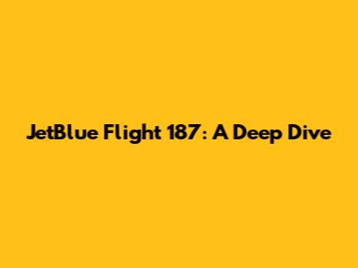 JetBlue Flight 187: A Deep Dive