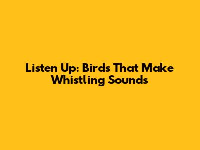 Listen Up: Birds That Make Whistling Sounds