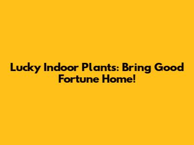 Lucky Indoor Plants: Bring Good Fortune Home!