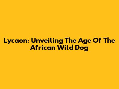 Lycaon: Unveiling The Age Of The African Wild Dog
