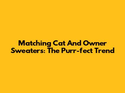 Matching Cat And Owner Sweaters: The Purr-fect Trend