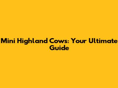 Mini Highland Cows: Your Ultimate Guide
