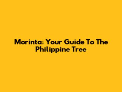 Morinta: Your Guide To The Philippine Tree