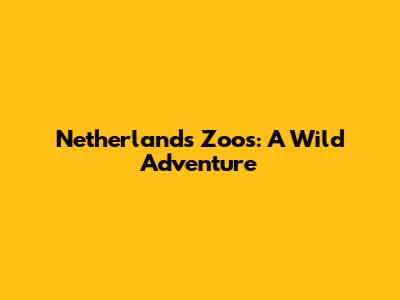 Netherlands Zoos: A Wild Adventure