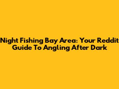 Night Fishing Bay Area: Your Reddit Guide To Angling After Dark