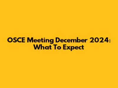 OSCE Meeting December 2024: What To Expect