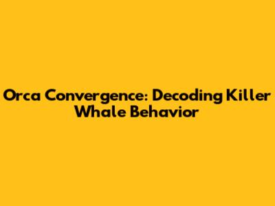 Orca Convergence: Decoding Killer Whale Behavior