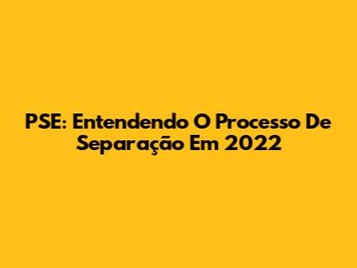 PSE: Entendendo O Processo De Separação Em 2022
