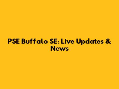 PSE Buffalo SE: Live Updates & News