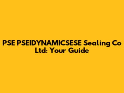 PSE PSEIDYNAMICSESE Sealing Co Ltd: Your Guide