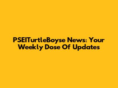 PSEITurtleBoyse News: Your Weekly Dose Of Updates