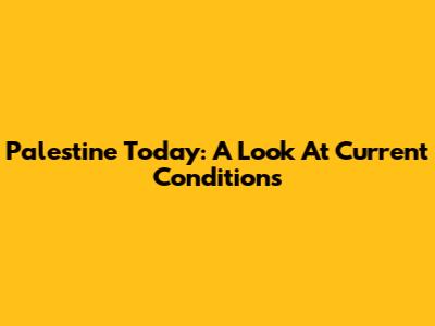 Palestine Today: A Look At Current Conditions
