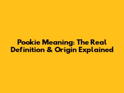 Pookie Meaning: The Real Definition & Origin Explained